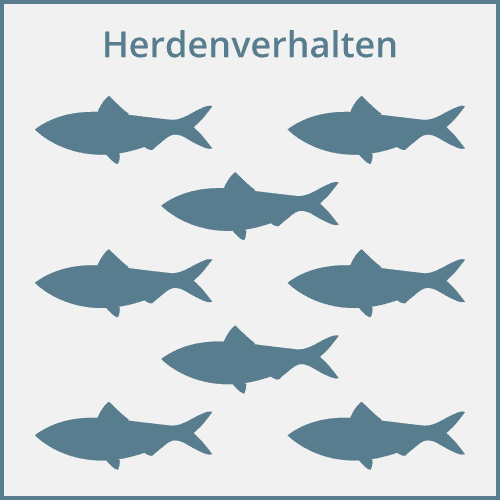 herdenverhalten | crowdfundingde herdenverhalten